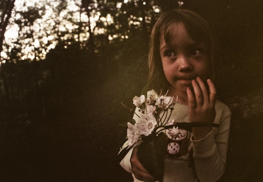 Darkness and flowers